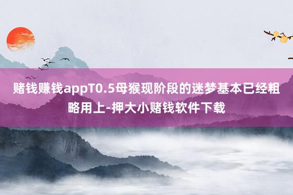 赌钱赚钱appT0.5母猴现阶段的迷梦基本已经粗略用上-押大小赌钱软件下载
