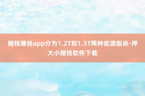赌钱赚钱app分为1.2T和1.5T两种能源版块-押大小赌钱软件下载