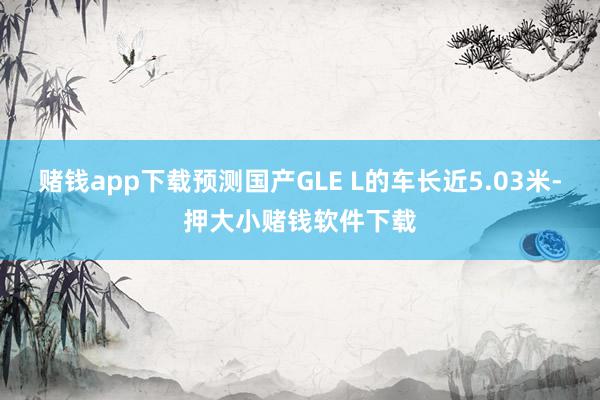 赌钱app下载预测国产GLE L的车长近5.03米-押大小赌钱软件下载