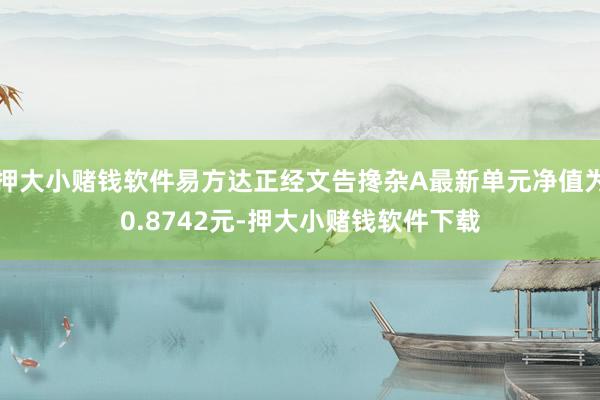 押大小赌钱软件易方达正经文告搀杂A最新单元净值为0.8742元-押大小赌钱软件下载