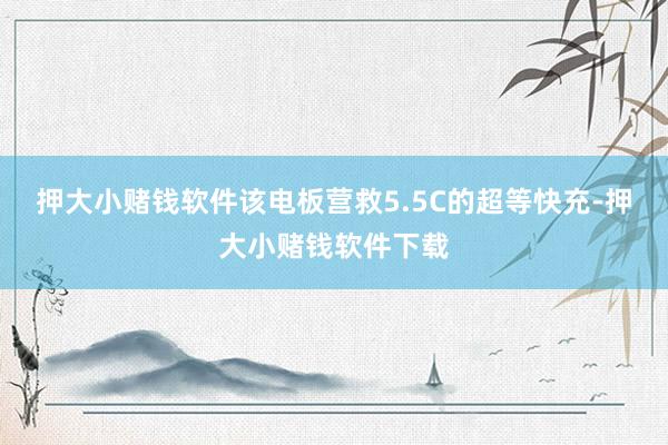 押大小赌钱软件该电板营救5.5C的超等快充-押大小赌钱软件下载