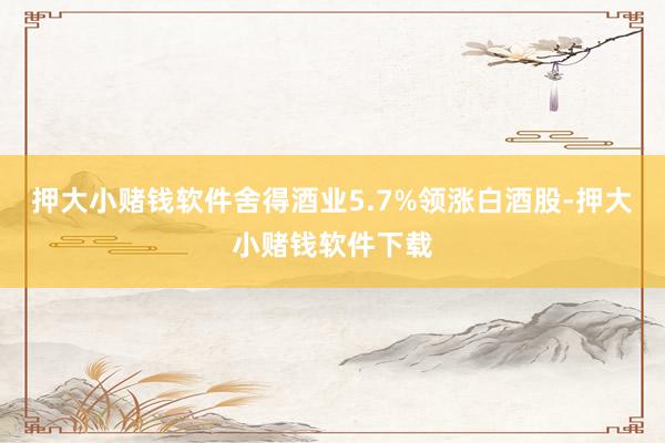 押大小赌钱软件舍得酒业5.7%领涨白酒股-押大小赌钱软件下载
