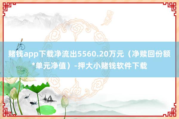 赌钱app下载净流出5560.20万元（净赎回份额*单元净值）-押大小赌钱软件下载