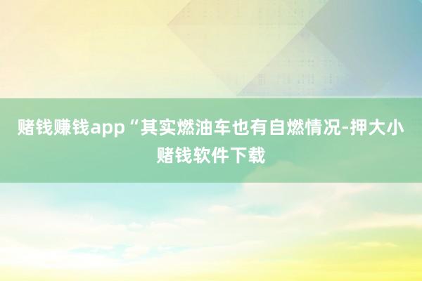 赌钱赚钱app“其实燃油车也有自燃情况-押大小赌钱软件下载