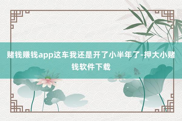 赌钱赚钱app这车我还是开了小半年了-押大小赌钱软件下载