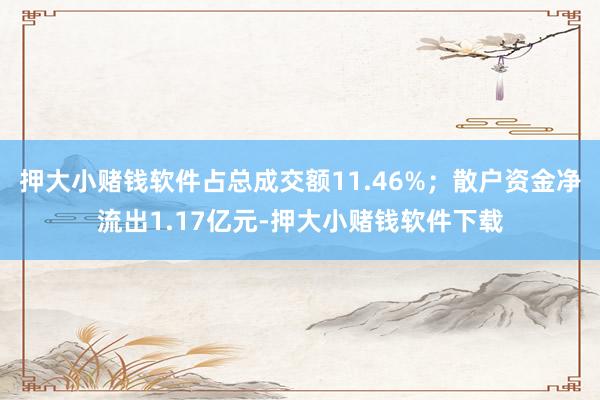 押大小赌钱软件占总成交额11.46%；散户资金净流出1.17亿元-押大小赌钱软件下载