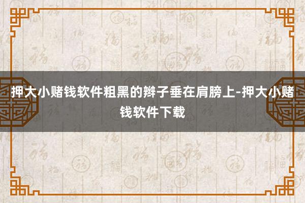 押大小赌钱软件粗黑的辫子垂在肩膀上-押大小赌钱软件下载