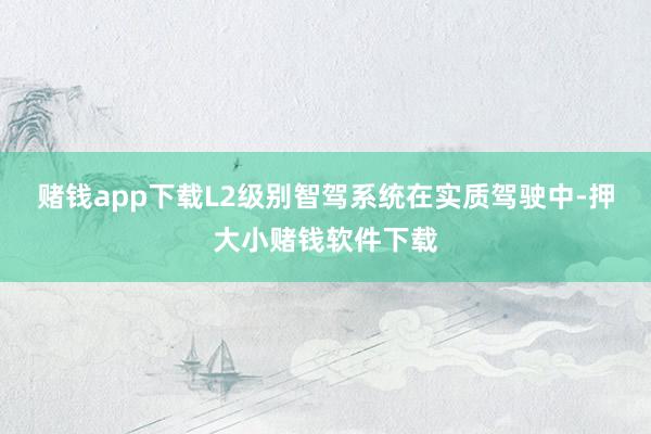 赌钱app下载L2级别智驾系统在实质驾驶中-押大小赌钱软件下载