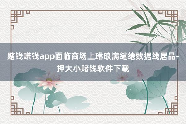 赌钱赚钱app面临商场上琳琅满缱绻数据线居品-押大小赌钱软件下载