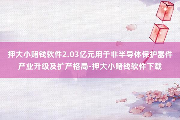 押大小赌钱软件2.03亿元用于非半导体保护器件产业升级及扩产格局-押大小赌钱软件下载