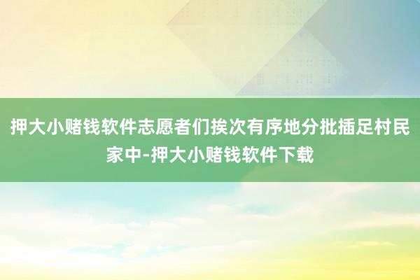 押大小赌钱软件志愿者们挨次有序地分批插足村民家中-押大小赌钱软件下载