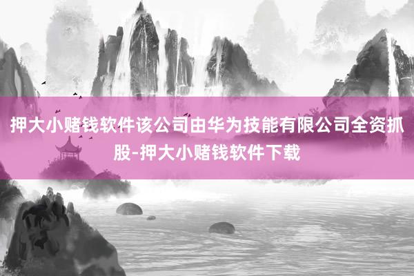 押大小赌钱软件该公司由华为技能有限公司全资抓股-押大小赌钱软件下载
