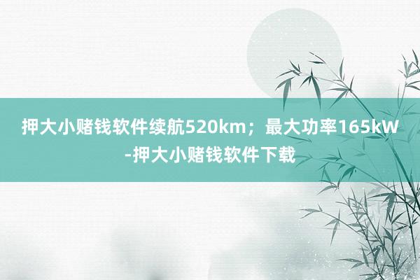 押大小赌钱软件续航520km；最大功率165kW-押大小赌钱软件下载