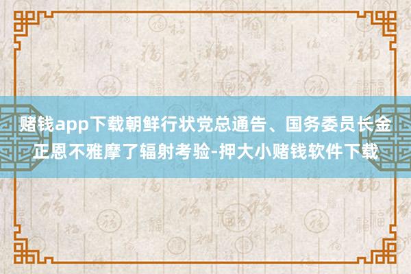 赌钱app下载朝鲜行状党总通告、国务委员长金正恩不雅摩了辐射考验-押大小赌钱软件下载