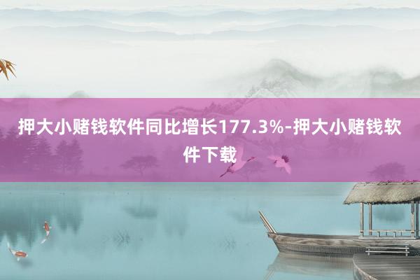 押大小赌钱软件同比增长177.3%-押大小赌钱软件下载