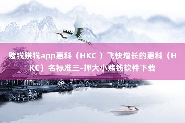 赌钱赚钱app惠科（HKC ）飞快增长的惠科（HKC）名标准三-押大小赌钱软件下载