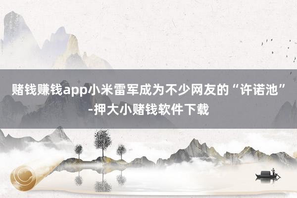 赌钱赚钱app小米雷军成为不少网友的“许诺池”-押大小赌钱软件下载