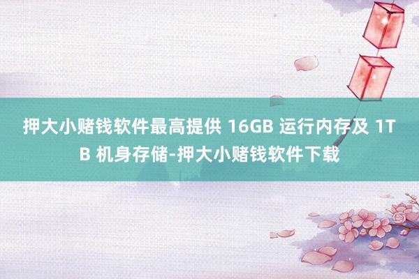 押大小赌钱软件最高提供 16GB 运行内存及 1TB 机身存储-押大小赌钱软件下载
