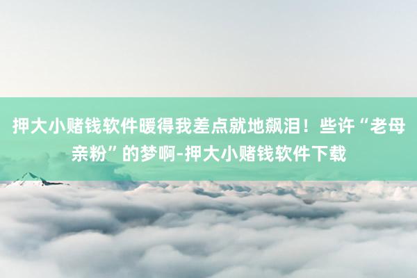 押大小赌钱软件暖得我差点就地飙泪！些许“老母亲粉”的梦啊-押大小赌钱软件下载