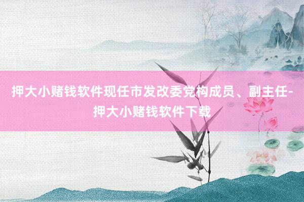 押大小赌钱软件现任市发改委党构成员、副主任-押大小赌钱软件下载