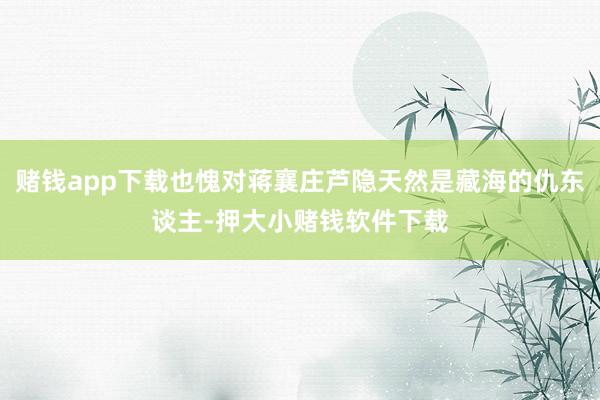 赌钱app下载也愧对蒋襄庄芦隐天然是藏海的仇东谈主-押大小赌钱软件下载