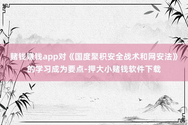 赌钱赚钱app对《国度聚积安全战术和网安法》的学习成为要点-押大小赌钱软件下载