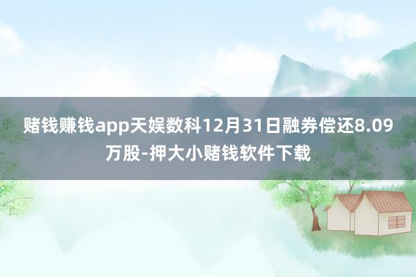 赌钱赚钱app天娱数科12月31日融券偿还8.09万股-押大小赌钱软件下载