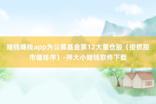 赌钱赚钱app为公募基金第12大重仓股（按抓股市值排序）-押大小赌钱软件下载