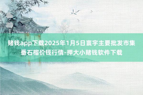 赌钱app下载2025年1月5日寰宇主要批发市集番石榴价钱行情-押大小赌钱软件下载