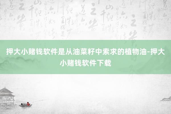 押大小赌钱软件是从油菜籽中索求的植物油-押大小赌钱软件下载
