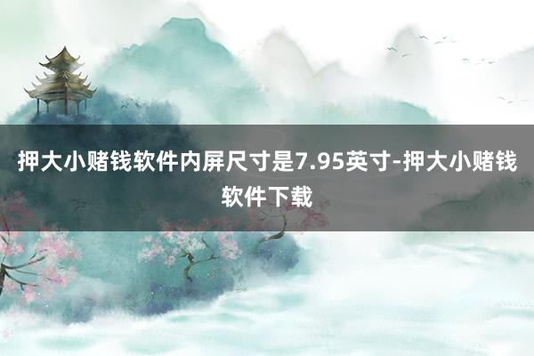 押大小赌钱软件内屏尺寸是7.95英寸-押大小赌钱软件下载