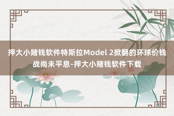 押大小赌钱软件特斯拉Model 2掀翻的环球价钱战尚未平息-押大小赌钱软件下载