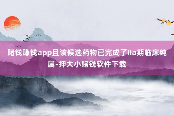 赌钱赚钱app且该候选药物已完成了IIa期临床纯属-押大小赌钱软件下载