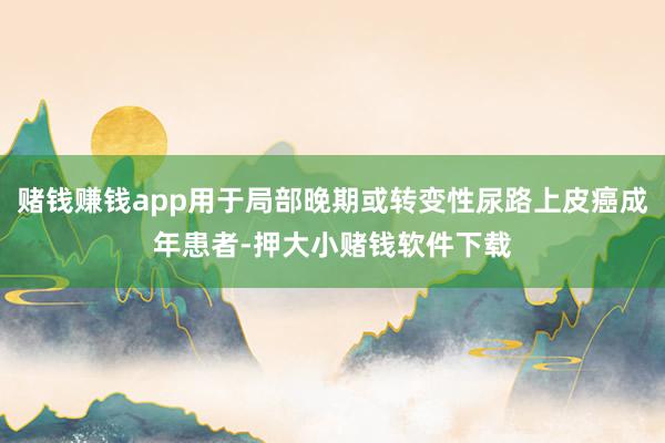 赌钱赚钱app用于局部晚期或转变性尿路上皮癌成年患者-押大小赌钱软件下载