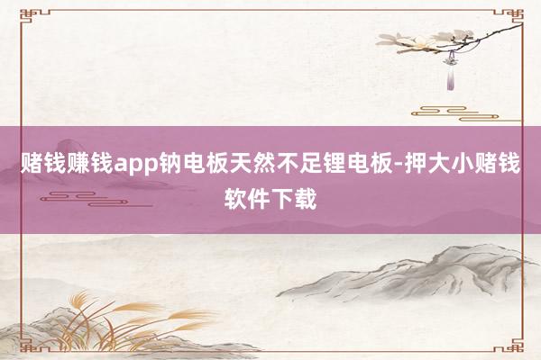 赌钱赚钱app钠电板天然不足锂电板-押大小赌钱软件下载