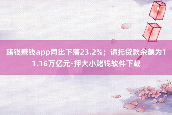 赌钱赚钱app同比下落23.2%；请托贷款余额为11.16万亿元-押大小赌钱软件下载