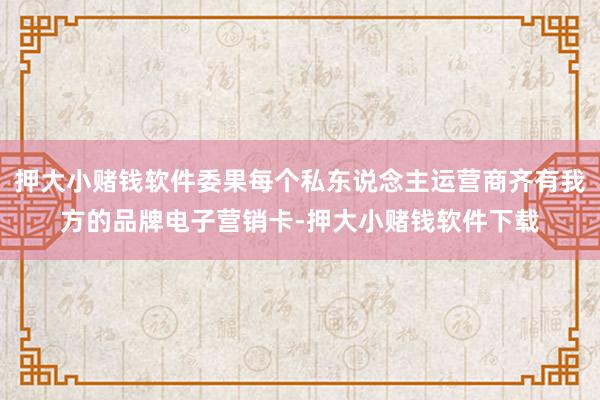 押大小赌钱软件委果每个私东说念主运营商齐有我方的品牌电子营销卡-押大小赌钱软件下载