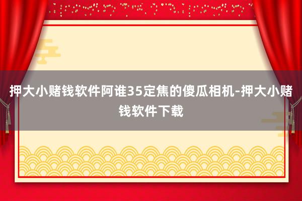 押大小赌钱软件阿谁35定焦的傻瓜相机-押大小赌钱软件下载
