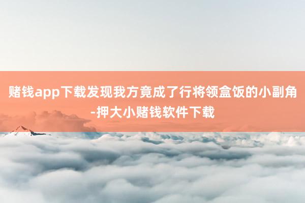 赌钱app下载发现我方竟成了行将领盒饭的小副角-押大小赌钱软件下载
