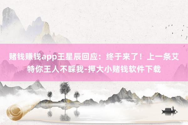 赌钱赚钱app王星辰回应：终于来了！上一条艾特你王人不睬我-押大小赌钱软件下载