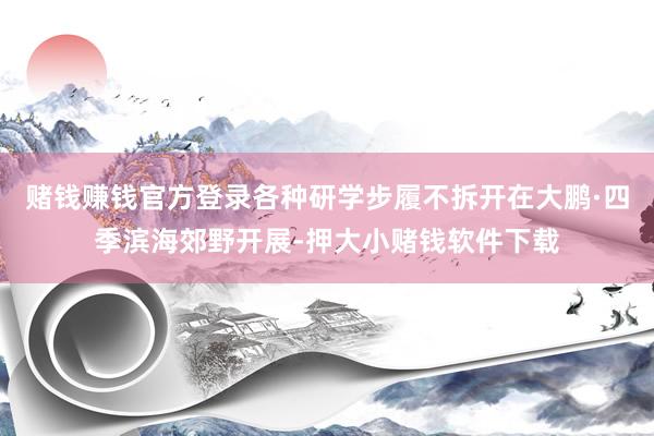 赌钱赚钱官方登录各种研学步履不拆开在大鹏·四季滨海郊野开展-押大小赌钱软件下载