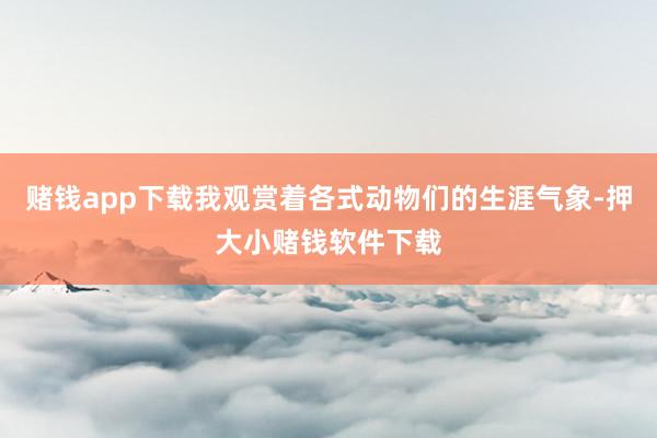 赌钱app下载我观赏着各式动物们的生涯气象-押大小赌钱软件下载