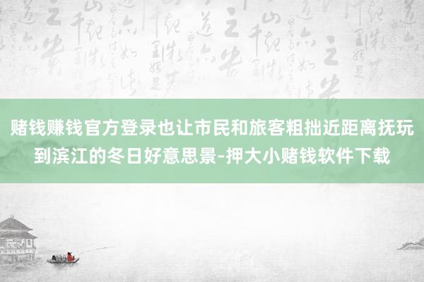 赌钱赚钱官方登录也让市民和旅客粗拙近距离抚玩到滨江的冬日好意思景-押大小赌钱软件下载