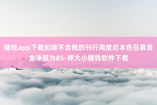 赌钱app下载扣除不含税的刊行用度后本色召募资金净额为85-押大小赌钱软件下载