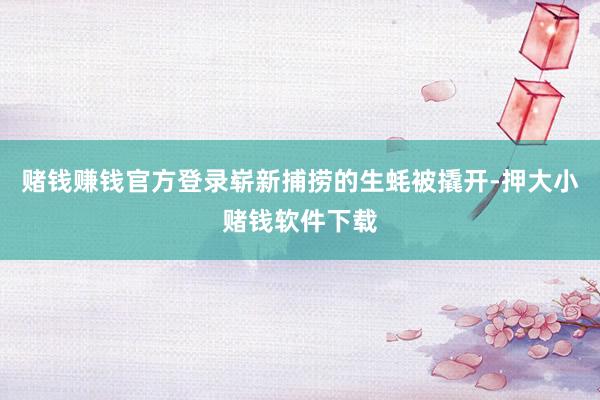 赌钱赚钱官方登录崭新捕捞的生蚝被撬开-押大小赌钱软件下载