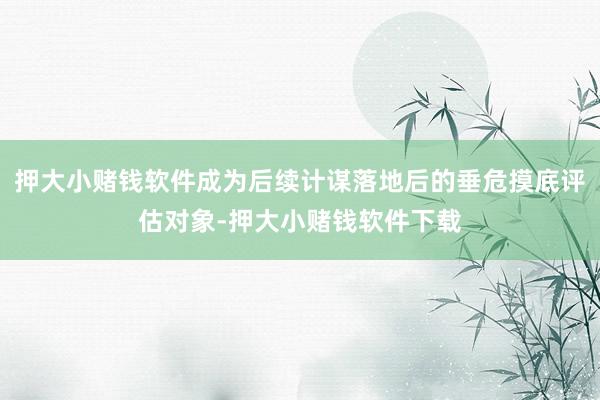 押大小赌钱软件成为后续计谋落地后的垂危摸底评估对象-押大小赌钱软件下载