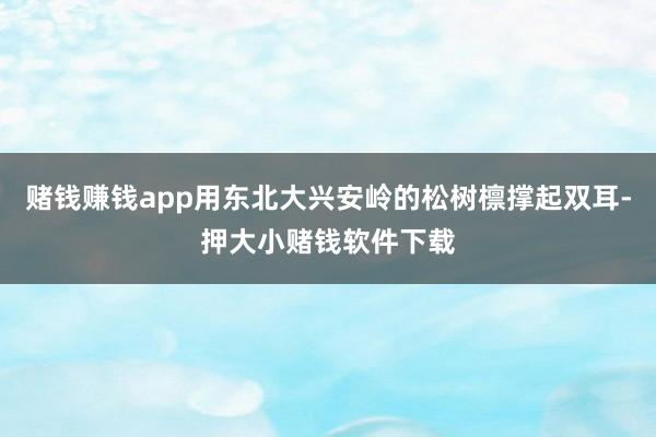 赌钱赚钱app用东北大兴安岭的松树檩撑起双耳-押大小赌钱软件下载