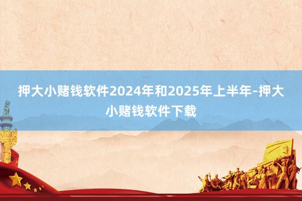 押大小赌钱软件　　2024年和2025年上半年-押大小赌钱软件下载