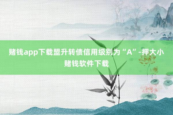 赌钱app下载盟升转债信用级别为“A”-押大小赌钱软件下载
