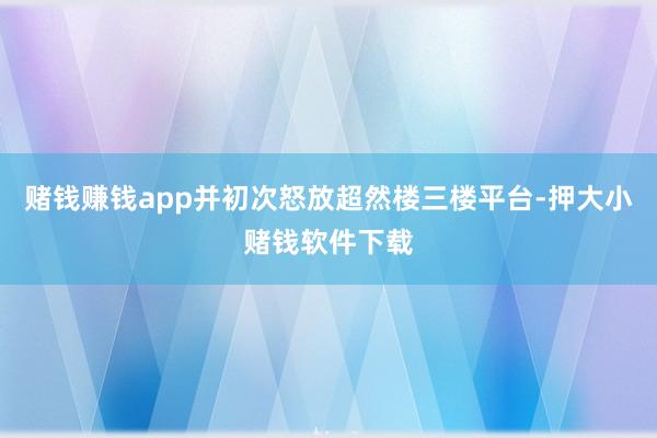 赌钱赚钱app并初次怒放超然楼三楼平台-押大小赌钱软件下载